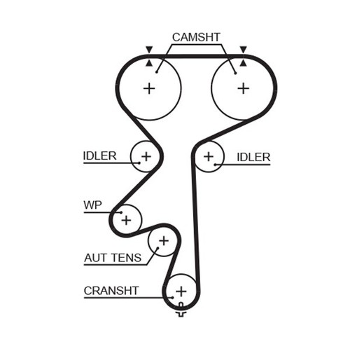 Gates 5542xs timing belt for - 5542xs,