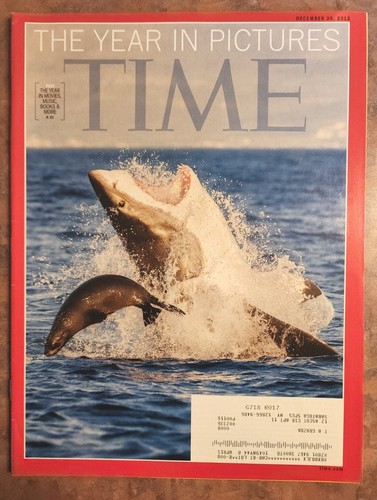 Time magazine the year - magazine, in