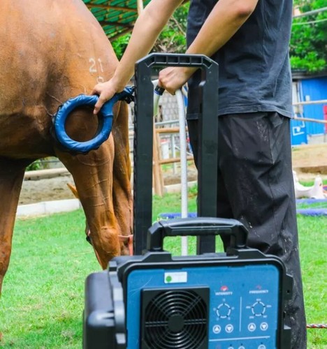 Horse pmst loop pemf magnetic - horse,