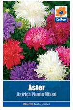 PACKET of ASTER Ostrich Plume Mixed 200 FLOWER Garden SEEDS