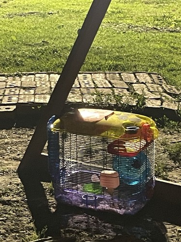 Hamster cage - hamster,