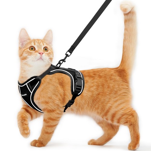 Escape proof cat - proof,