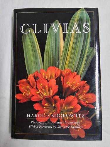 Clivias harold koopowitz - clivias,
