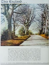 Advertisement Illustration