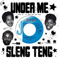 Wayne Smith - Under Me Sleng