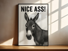 Funny Donkey Wall Art Print