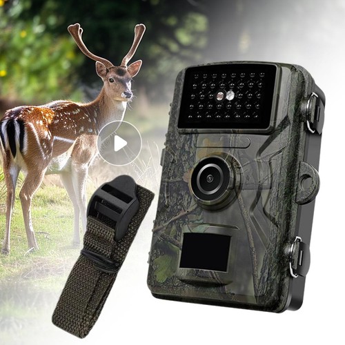 Outdoor wildlife trail camera - outdoor,
