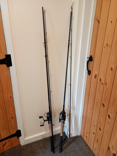 Carp fishing rods - carp, and