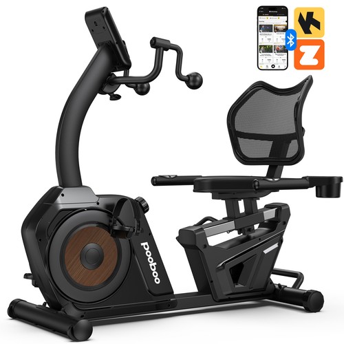 Recumbent exercise bike dual - recumbent,
