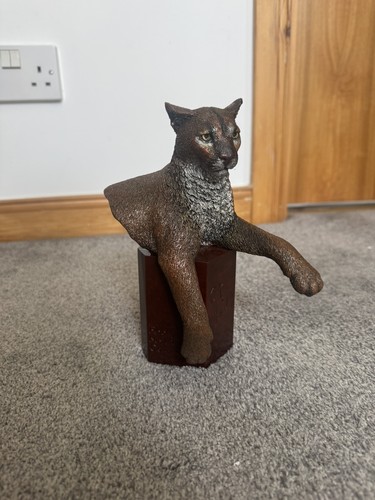 Rocky mountain cougar legends - rocky,