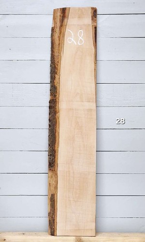 Steamed beech live edge - beech,