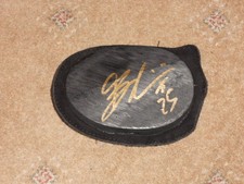 Alex Baldolini Race Worn Knee Slider Signed.