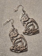 Silver Maine Coon Cat 🐈