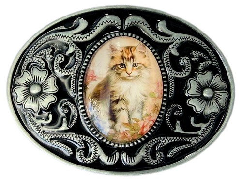 Tabby cat kitten - cat,