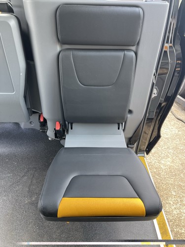 2025 levc txe electric - txe,