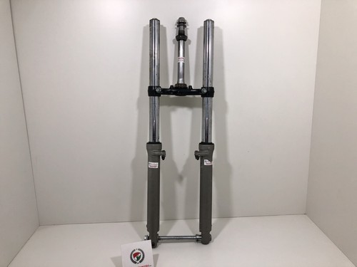 Complete front fork cristo - front,