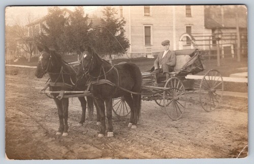 Vtg antique horse drawn buggy - vtg,