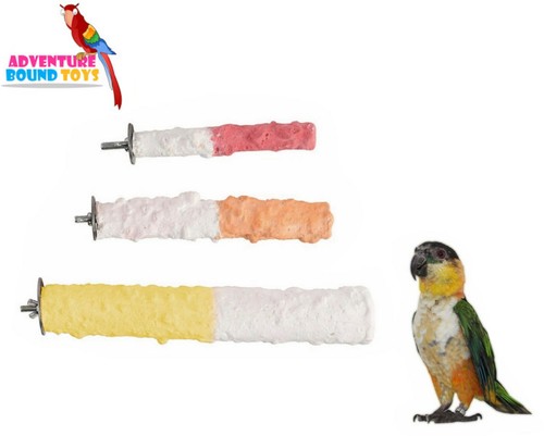 Adventure bound cuttlebone - adventure,