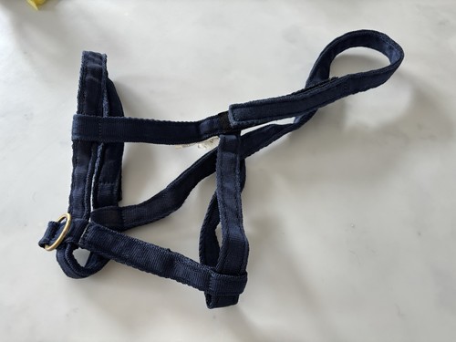 Field safe head - safe,