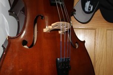 Stentor Student Cello 3/4 Size