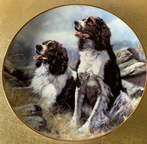 Dog springer spaniel plate a - springer,