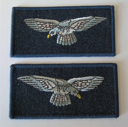 Two royal air force - royal, arm