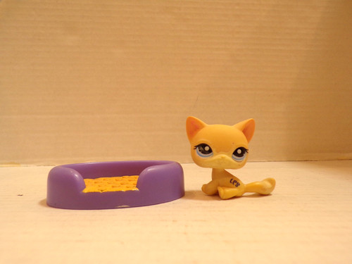 Littlest pet shop - pet, shop~#1005~kitty