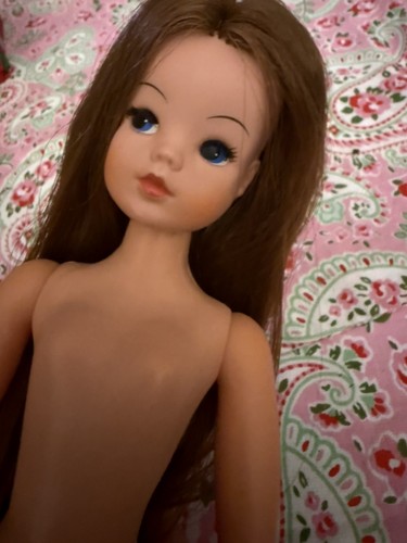 Vintage pedigree sindy - sindy, trendy