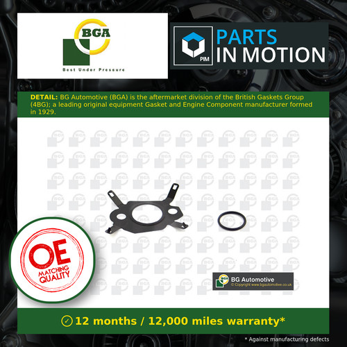 Timing cover gasket fits - timing,