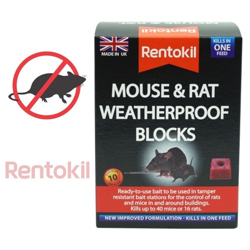 Rentokil rat mouse - rat,
