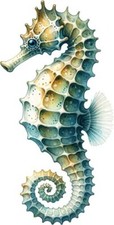 Colourful Seahorse Wall Art