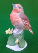 CROWN STAFFORDSHIRE ROBIN.