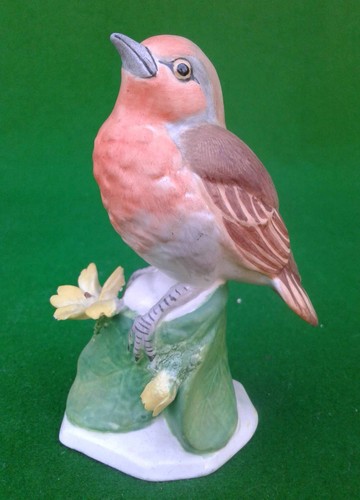 Crown staffordshire robin - staffordshire, robin.