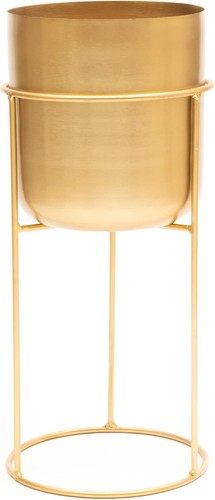 Olly rose matt metal plant - rose,