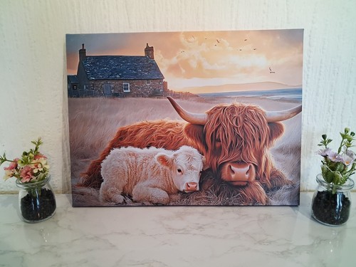 Highland cow picture framed - highland,