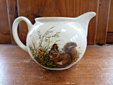 Red Squirrel Jug Milk/ Creamer Jug Buckingham pottery, woodland creatures