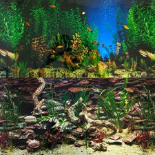 Aquarium Background Double-Sided Repeating Aquarama Shalescape Plants Fish Tank