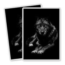 2x Vertical Vinyl Stickers Calm Black Wolf Wolves Dog #52698