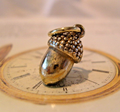 Pocket watch chain - chain, acorn