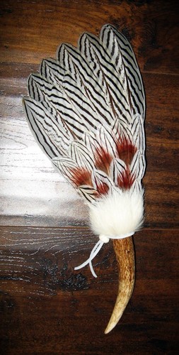 Silver pheasant native - pheasant,