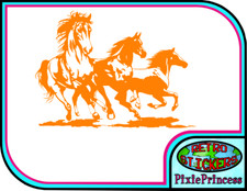 Horse Riding Equestrian Horses