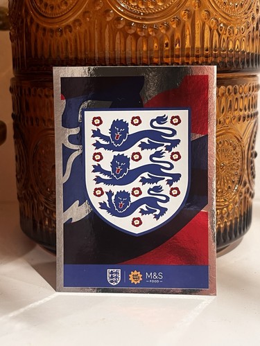 Panini official england - official,