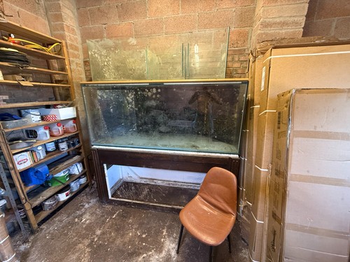 Large reef aquarium - aquarium, fish