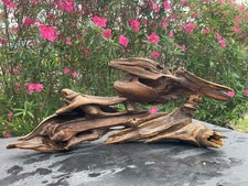 Driftwood aquariums fish - driftwood,