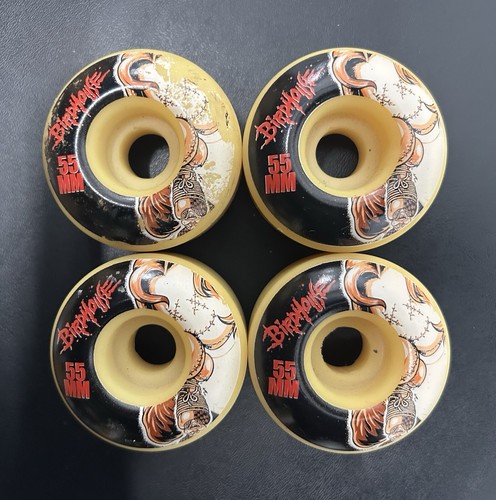 Birdhouse tony hawk - birdhouse,