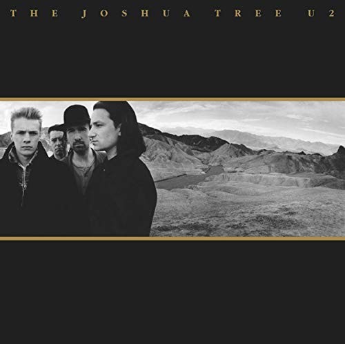 Joshua tree vinyl - joshua,