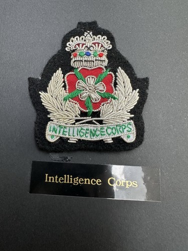 Intelligence corps officer - intelligence,