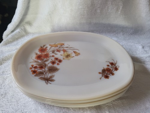 Vintage pyrex harvest spray - pyrex, 'harvest