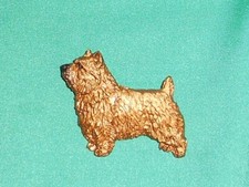 NORWICH TERRIER  Dog Breed