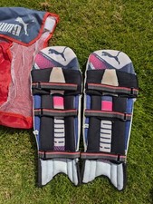 Puma Cricket Pads - EVO Speed